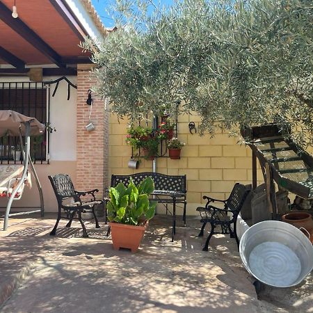 Casa Rural El Cuco Luque エクステリア 写真