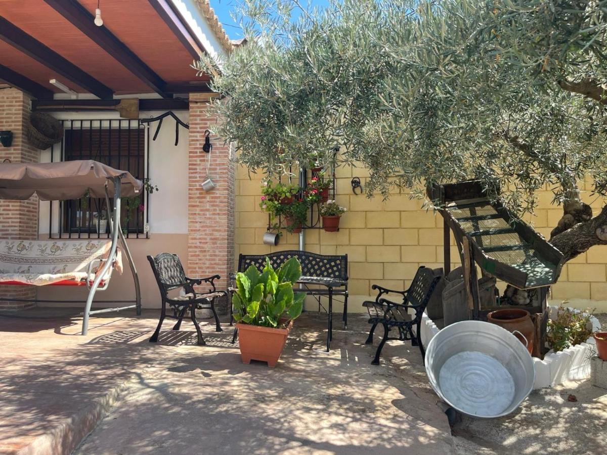 Casa Rural El Cuco Luque エクステリア 写真